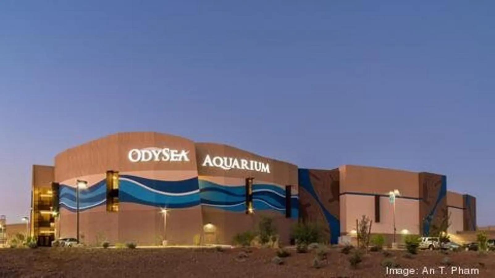 Luxury Homestyle Getaway Wpool, Gym, & Office Scottsdale 0*,  USA